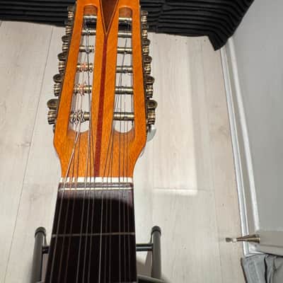 Vintage Bowlback 12 String Mandolin - Mandriola / Trichord image 6