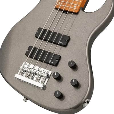 Sadowsky MetroExpress 5-String 24-Fret Modern Bass Roasted Maple Fingerboard 5-String Solid Silver Metallic High Polish image 6