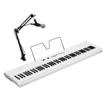 Korg Liano Live Digital Live Streaming Piano w/ Microphone image 3