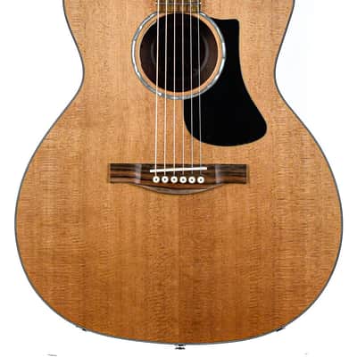 Eastman PCH1 GACE image 1