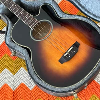 Epiphone El Capitan Acoustic Bass - Actually Great Acoustic Bass! - Awesome Instrument! - image 15