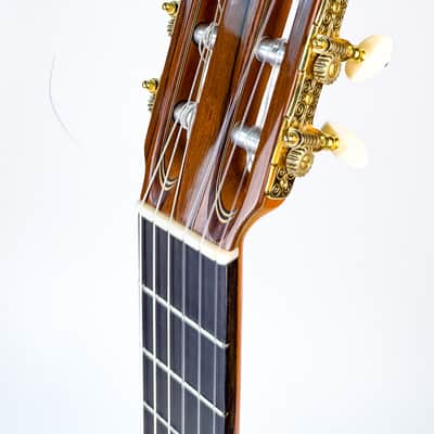 Jerónimo Pérez 2023 - Flamenco Guitar image 7
