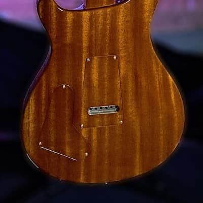 PRS Private Stock 10301 Falling Leaves Special Semi-Hollow (no f-hole) Rainforest image 4