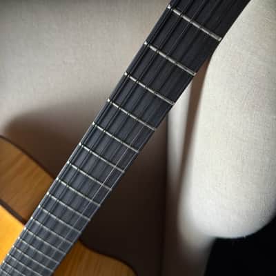 Eastman PG2 Pagelli Archtop 17" image 13