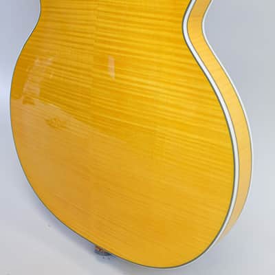 Harmony H620 Single Cut Semi-Hollowbody (~2008) image 14