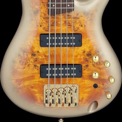 Ibanez SR Standard 5 String Electric Bass - Mars Gold Metallic Burst (SR405EPBDXMGU) image 12