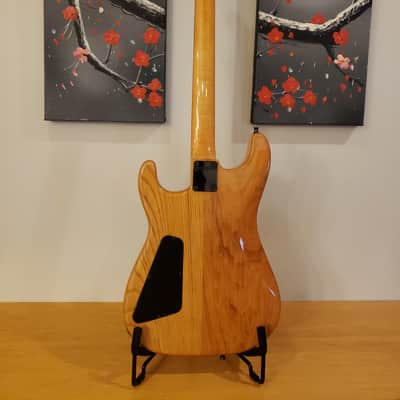 Roscoe #2: 1984 custom stratocaster guitar image 5