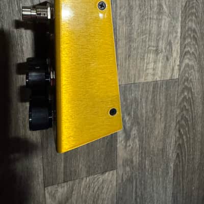 Meris Enzo 2018 - Gold image 5