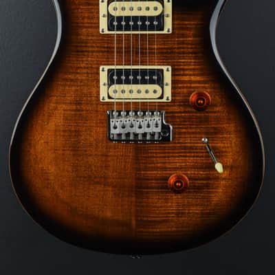 Paul Reed Smith SE Custom 24 '22 image 2