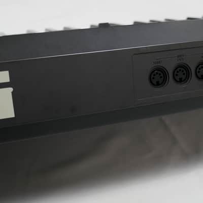 KORG DW-8000 + Case image 11