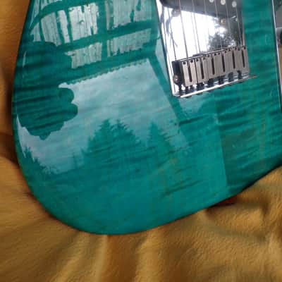VZ Custom Guitars 24-Fret T-Style w/new tweed case image 14