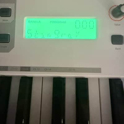 M-Audio Venom 49-Key Analog Synth Keyboard 2010s - Gray image 4