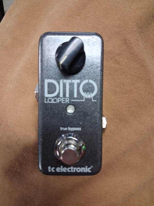TC Electronic Ditto Looper 2013 - Present - Black image 1