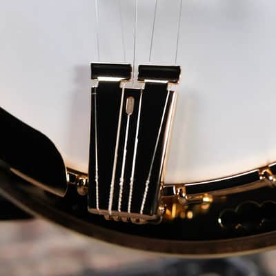 Deering 50th Anniversary Limited Edition Banjo with Hardshell Case image 10