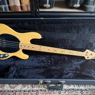 1992 Ernie Ball Music Man StingRay with Maple Fretboard and original Tolex case image 1