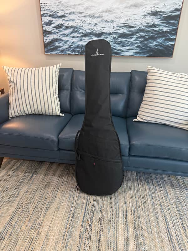 Palm Harbor Economy Electric Bass Guitar Gig Bag image 1