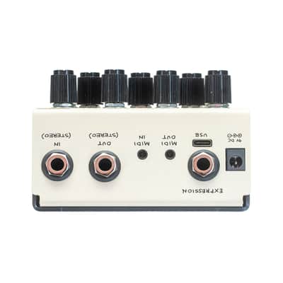 Old Blood Noise Endeavors Black Fountain Stereo Delay Effects Pedal, Cream image 5