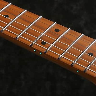 Ibanez PIA3761CBLP Steve Vai Signature Electric Guitar.. Blue Powder image 19