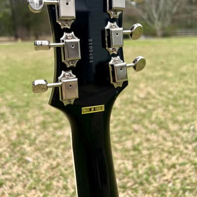 Rivolta Guitars Mondo Combinata 2022 - Present - Toro Black image 4
