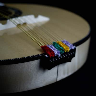 Pedro Santos 10-String Mandolin with VS Tuners | Brazil (Dudu Maia Model) image 4