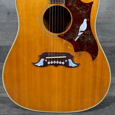 Gibson Dove 1968 - Natural image 2