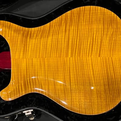 PRS Hollowbody II Piezo 20th Anniversary Artist Package image 5