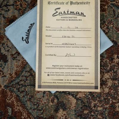 Eastman E20SS-TC Thermo-Cured Dreadnought Acoustic Guitar - Sunburst with Hardshell Case image 12