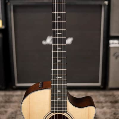 Taylor 314ce-N Nylon Grand Auditorium Acoustic/Electric Guitar with Hardshell Case image 5