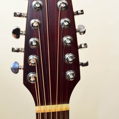 Breedlove AC250/SM-12 AC250SM 12-string Concert Acoustic Electric Guitar w/ Bag image 11