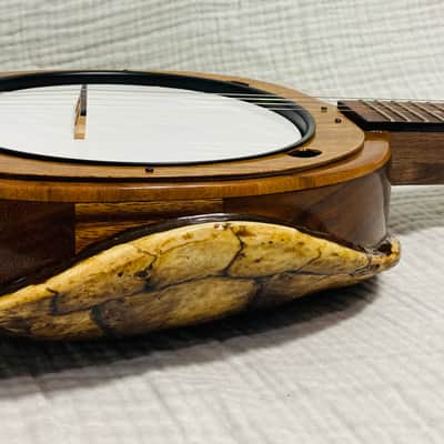 Turtle shell tenor banjo image 8