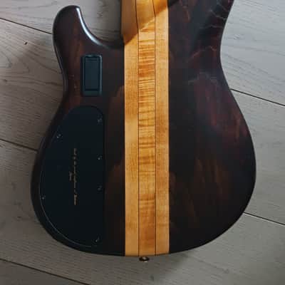 Ibanez Musician Bass 30th. anniversary 2009 image 11