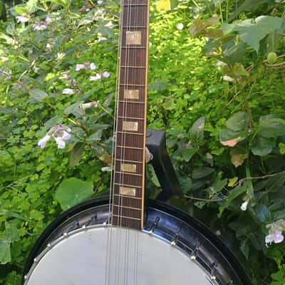 Incredibly Rare Harmony Roy Smeck Mando-Banjo/8-string Tenor Banjo 1960s image 3