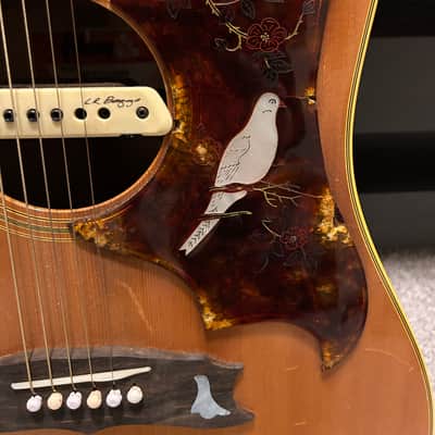 Gibson Dove 1968 - 1974 - Natural image 7