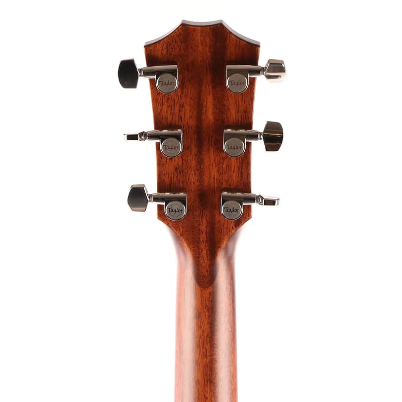 Taylor 317 with V-Class Bracing Left-Handed image 6