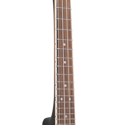 Gold Tone BUC Maple Neck Concert-Scale Banjo Ukulele with Hard Case image 8
