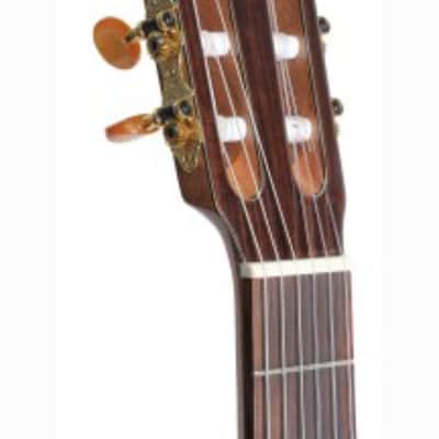 Kremona Rondo R65CWC | Acoustic / Electric Classical Guitar w/ Cutaway. New with Full Warranty! image 2