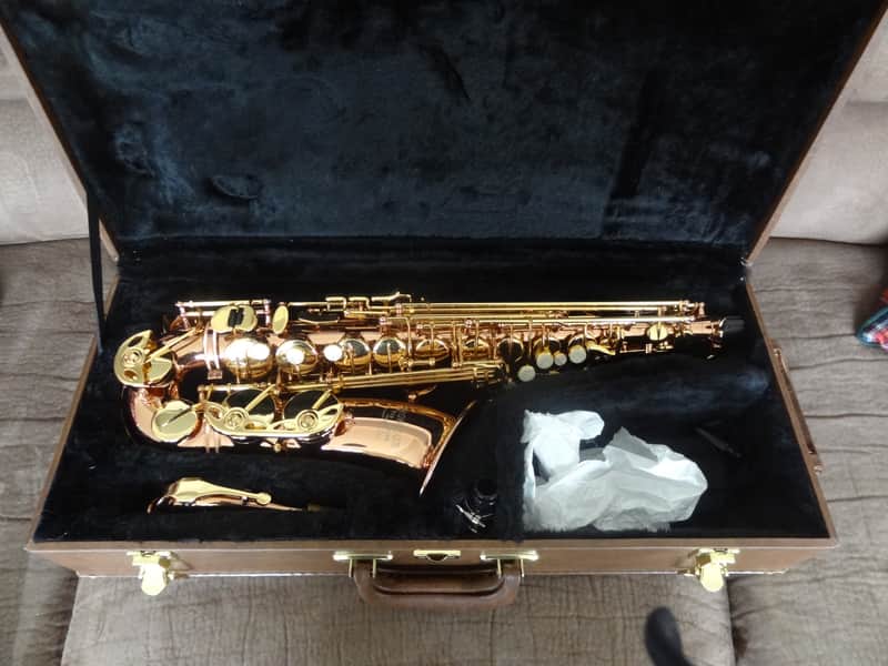 Monique Pro Series Alto Saxophone (SELMER/BUFFET CLONE) 1990s - Copper & Brass image 1
