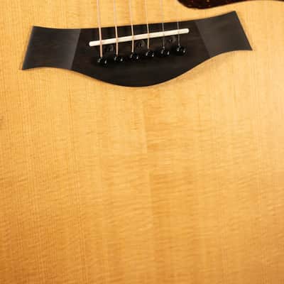 Taylor 210ce Dreadnought Acoustic/Electric Guitar with Gig Bag - Factory Demo image 10