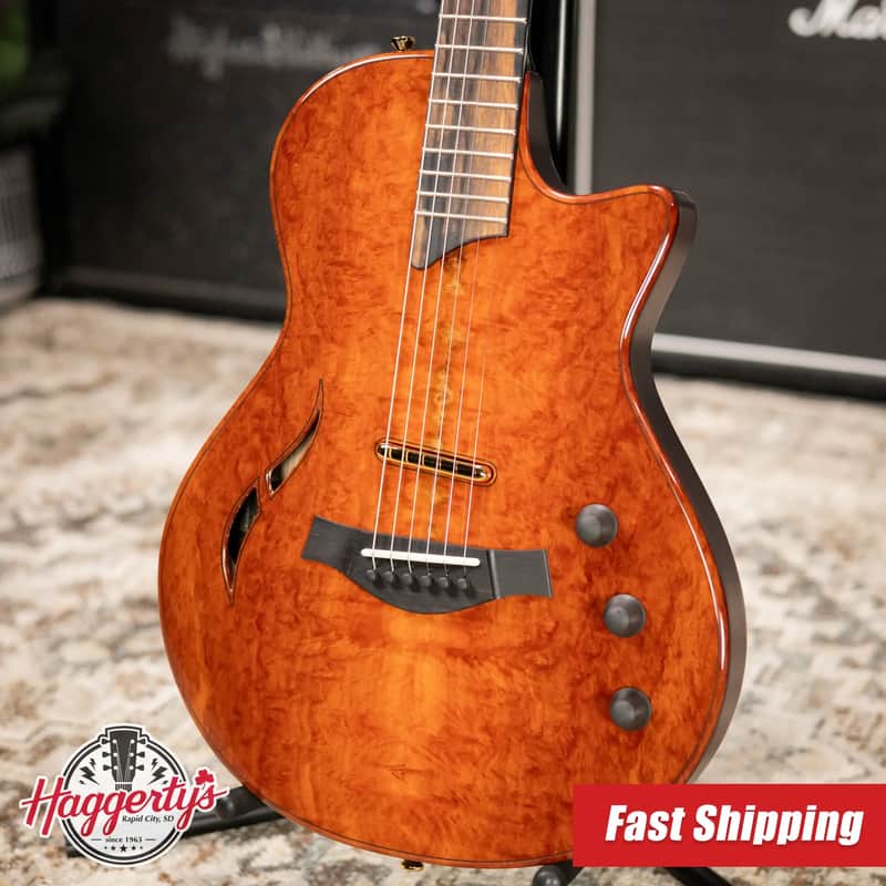 Taylor Custom Shop T5z Custom #C0960 Figured Ironbark/Shamel Ash Hollow Body Electric Guitar with Hardshell Case image 1