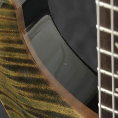 Paul Reed Smith (PRS) 2014 Wood Library Paul's Guitar Leprechaun Tooth [14 213120] (05/01) image 5