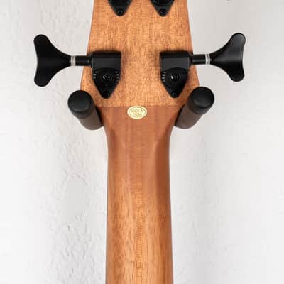 Gold Tone GT Series Micro Bass image 8