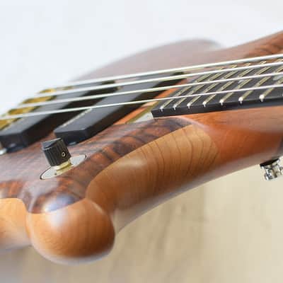 Alembic Brown Bass image 12
