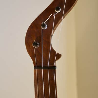 Flesher Minstrel Banjo Kit Built image 5
