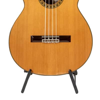 4 String Octave Bass Guitar - Estevé PS75 - All Solid Wood/Cedar/IR - 750mm Scale Length image 1