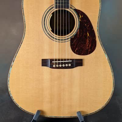 Used Zager ZAD900 Acoustic Guitar w/ L.R. Baggs Anthem image 2