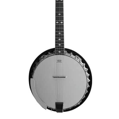 Danville 30-Bracket 5-String Banjo – Mother of Pearl Inlay – BJ30 With Stadium RD-13 Gig Bag image 2