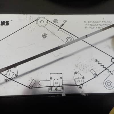 Evans Super Echo EE-3 image 9