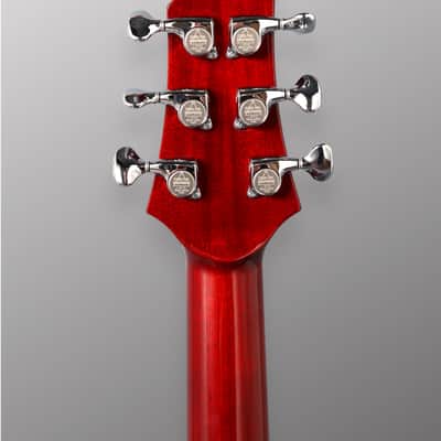 CP Thornton Guitars Professional - Darkburst w/ 5A Flame Maple Top. NEW (Authorized Dealer) image 13