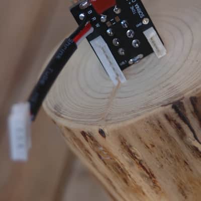 Phase Shift Push/Pull Potentiometer for Epiphone Les Paul Standard Pro - Upgrade to Custom Pro Specs image 7