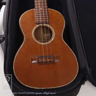 KAWAKAMI GUITARS＜MIJ> T-1M DX 2006 image 9